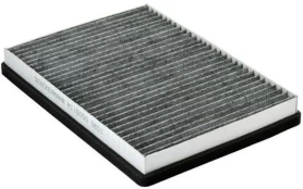 Filtras, salono oras DENCKERMANN M110050 kaina