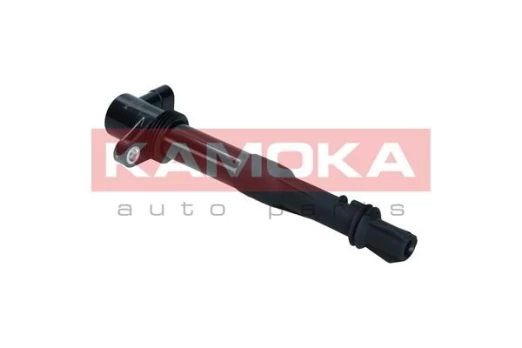 Ritė, uždegimas KAMOKA 7120082