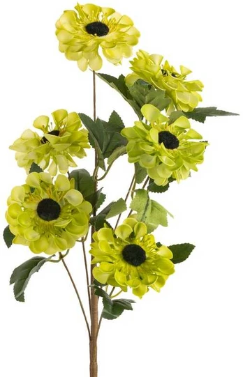 Eurofirany KW/FLORE/800/ZIE ZIEL