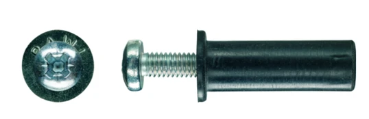 Guminis kaištis M10 su varžtu RAWLPLUG, 2 vnt.