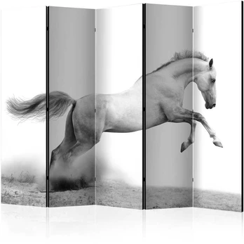 Artgeist Pertvara - Baltas gallop II [Room Dividers]