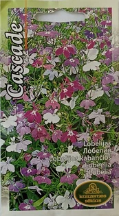 Lobelijos kabančios Cascade, 2 vnt