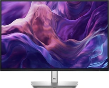 Monitorius Dell P2425 kaina