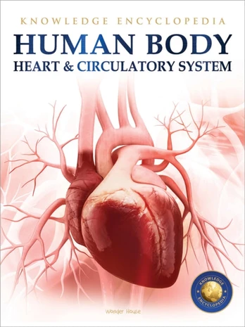 Knowledge Encyclopedia For Children - Human Body : Heart And Circulatory System