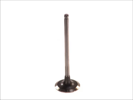 PARADOWSCY PREN026 Inlet valve