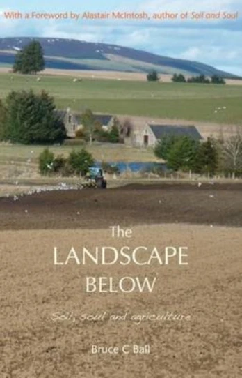 Landscape Below