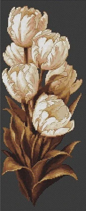 Tulips SB292