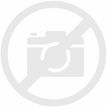 Ausinės Joyroom TWS Touch Ekranas ANC baltos (PM1005W)