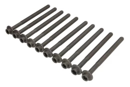REINZ 14-13249-01 Cylinder head bolt set kaina