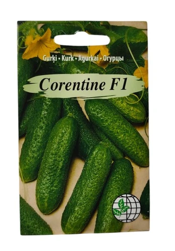 Agurkai Corentine F1 Agrimatco