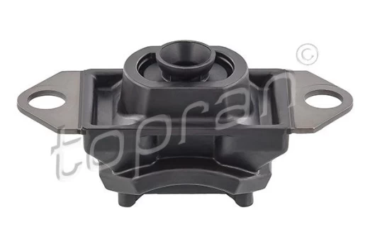 Variklio montavimas TOPRAN 701 085
