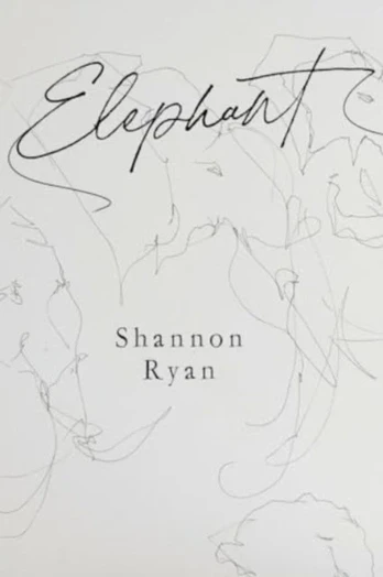 KNYGA Shannon Ryan Dramblys
