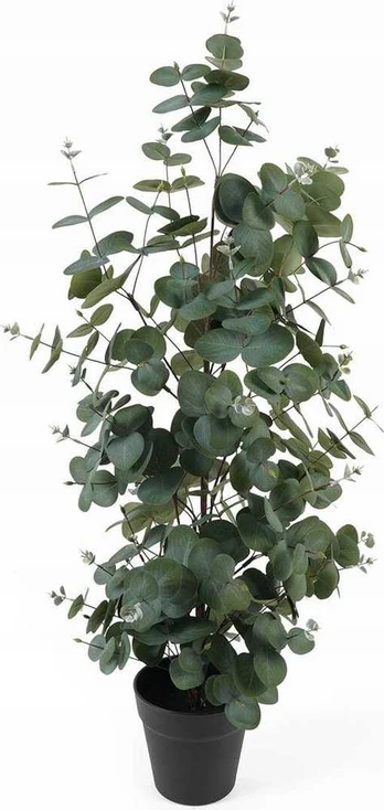 Atmosphera Sztuczny eukaliptus w doniczce EDEN, 78 cm