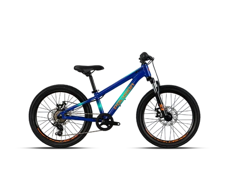 Dviratis 20" POLYGON CASCADE 20 BLUE