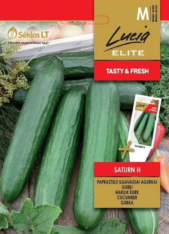 Sėklos Lucia Elite, agurkai Saturn H, 10 vnt.
