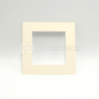 Pasportas 50x50/30x30 gelsvas