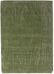 Tentas Okko, žalias, 200 cm x 300 cm kaina