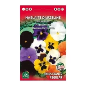 NAŠLAITĖ TIKROJI MIŠINYS kaina