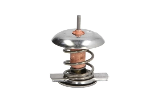 termostatas, aušinimo skystis THERMOTEC D2Y002TT