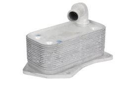Alyvos radiatorius THERMOTEC D4X016TT kaina