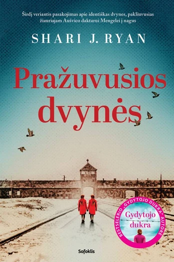 KNYGA Pražuvusios dvynės
