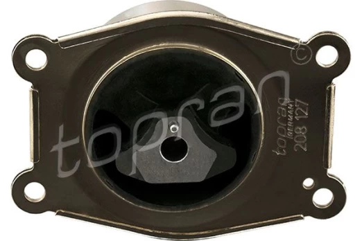 Variklio montavimas TOPRAN 208 127