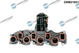 Įsiurbimo kolektoriaus modulis Dr.Motor Automotive DRM21841 kaina