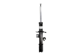 BILSTEIN 22-281241 Shock absorber kaina