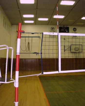 Pokorny-Site Tinklinio antenos
