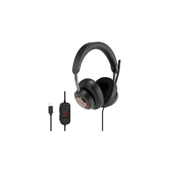 Ausinės Kensington H2000