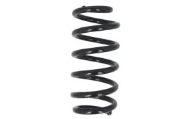 MAGNUM TECHNOLOGY SR174MT Coil spring kaina