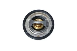 Termostatas, aušinimo skystis NRF 725150 kaina