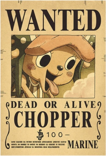 Plakatas One Piece