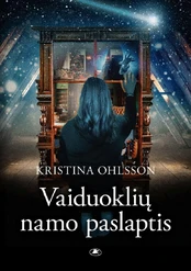 Vaiduoklių namo paslaptis kaina