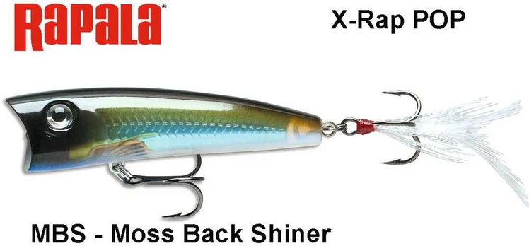 Vobleris Rapala X-Rap Pop XRP Moss Back Shiner