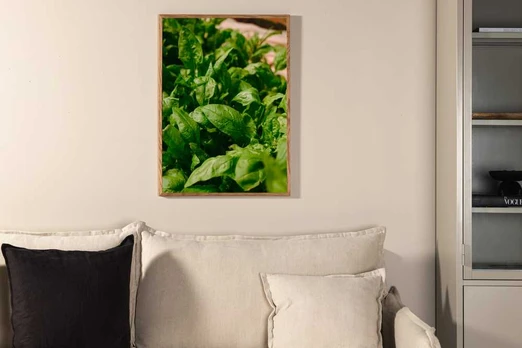 Paveikslas - Green leaf - 50x70