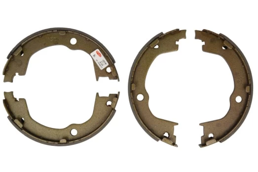 DELPHI LS2106 Brake shoe set