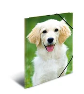 Laikiklis HERMA Sammelmappe A3 Hunde Polypropylen