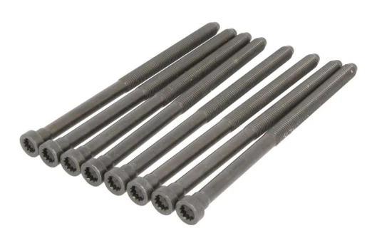 ELRING EL527770 Cylinder head bolt set