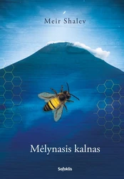 Mėlynasis kalnas (knyga su defektais)