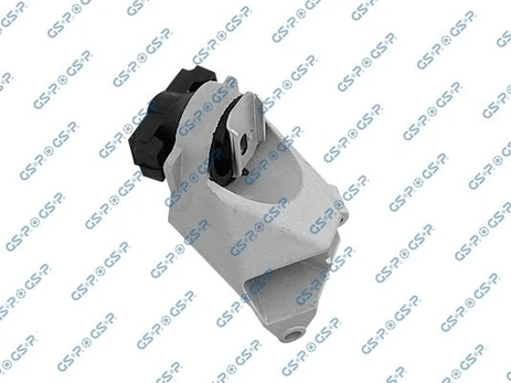 Variklio montavimas GSP 510779