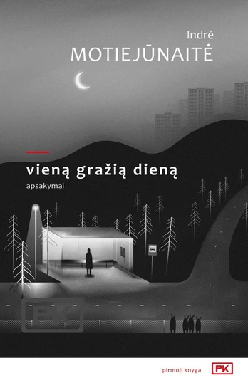 Vieną gražią dieną