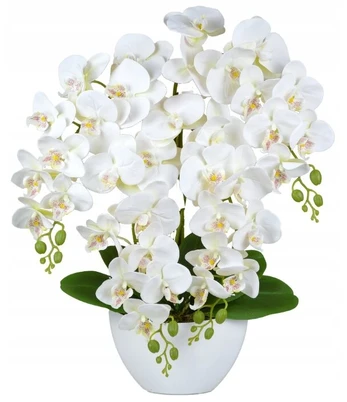 Dirbtinė orchidėja, didelės gėlės