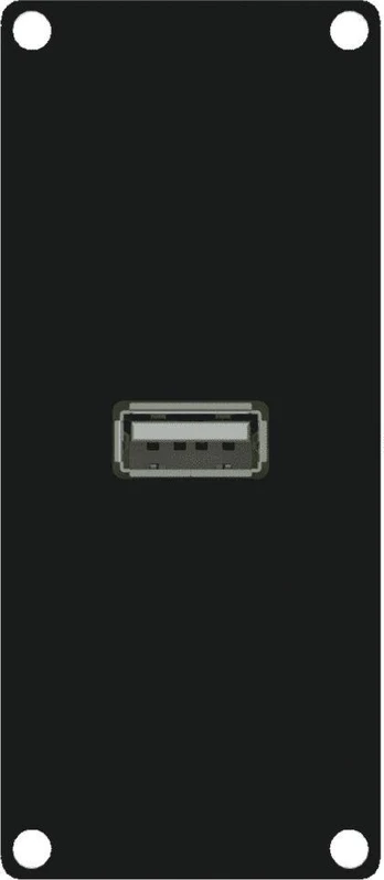 Caymon modulis su USB 2.0 A tipo jungtimi (CASY161/B)