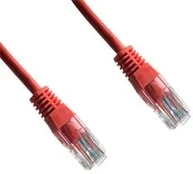 DATACOM UTP Cat6 oranžová