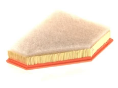 Oro filtras FILTRON AP032/9 kaina
