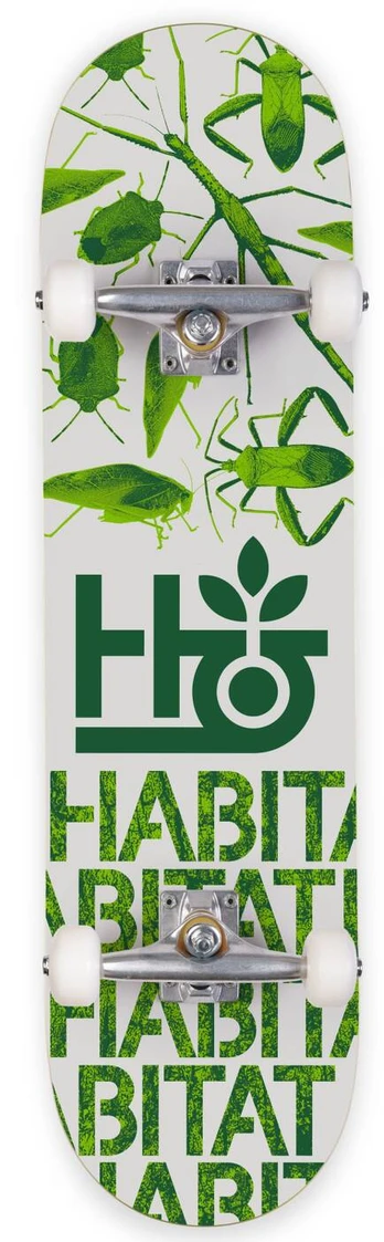 Riedlentė Habitat Insecta