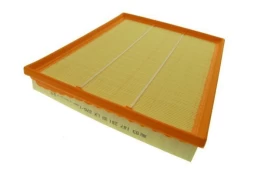 Oro filtras AUTOMEGA 180031610 kaina
