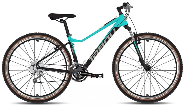 Dviratis Tabou Blade 29 0 W black-mint-S