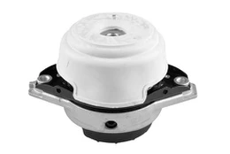 Variklio montavimas TEDGUM TED48294